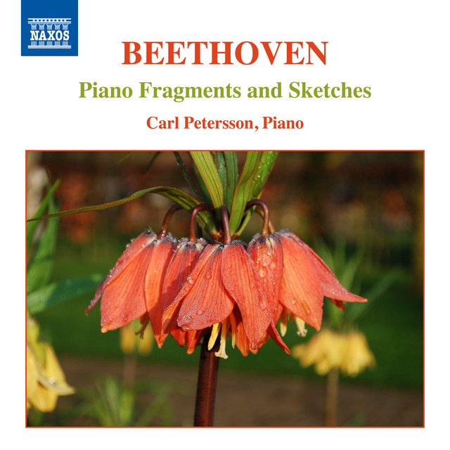 Beethoven%3A+Piano+Fragments+%26+Sketches