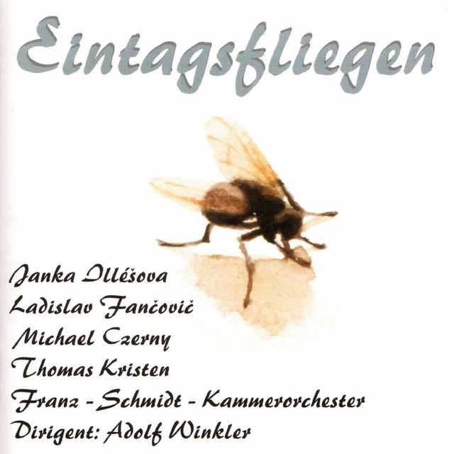 Riemenschneider N°10 Eintagsfliegen