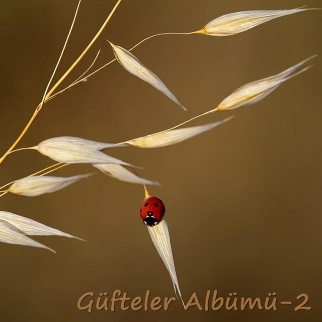 Tuti I Mucize G%C3%BCfteler+Alb%C3%BCm%C3%BC-2