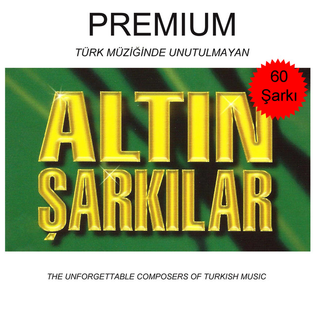 Kara Bulutlari Alt%C4%B1n+%C5%9Eark%C4%B1lar+Premium+3