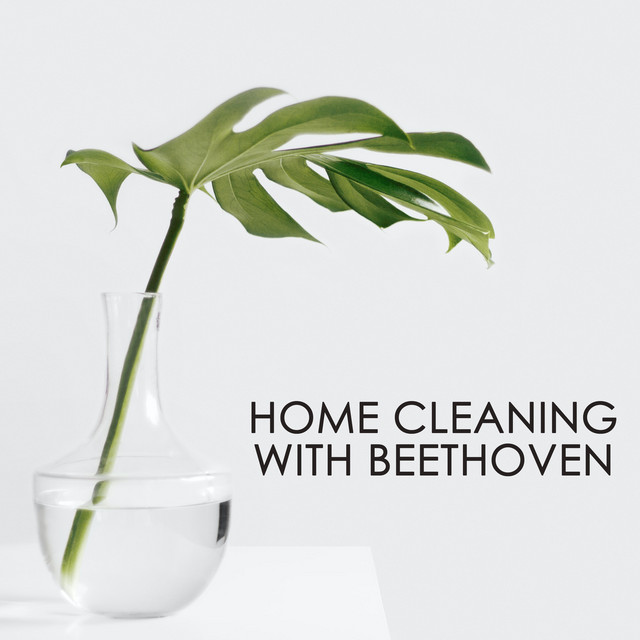 Home+cleaning+with+Beethoven