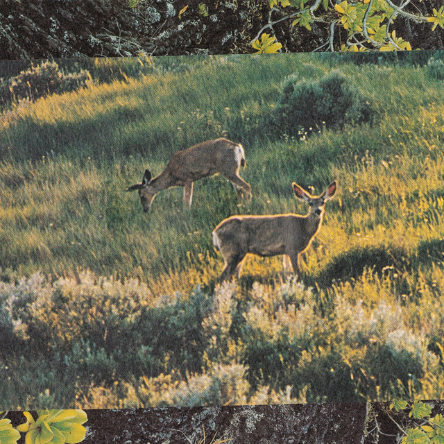 Hak Hak Hakone+Garden