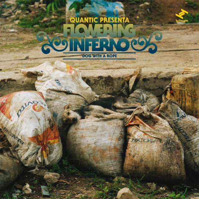 Cumbia Sobre El Mar Dog+With+a+Rope