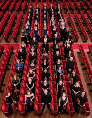 The+King%E2%80%99s+Consort The+King%E2%80%99s+Consort