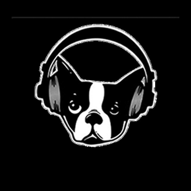 Snarky+Puppy