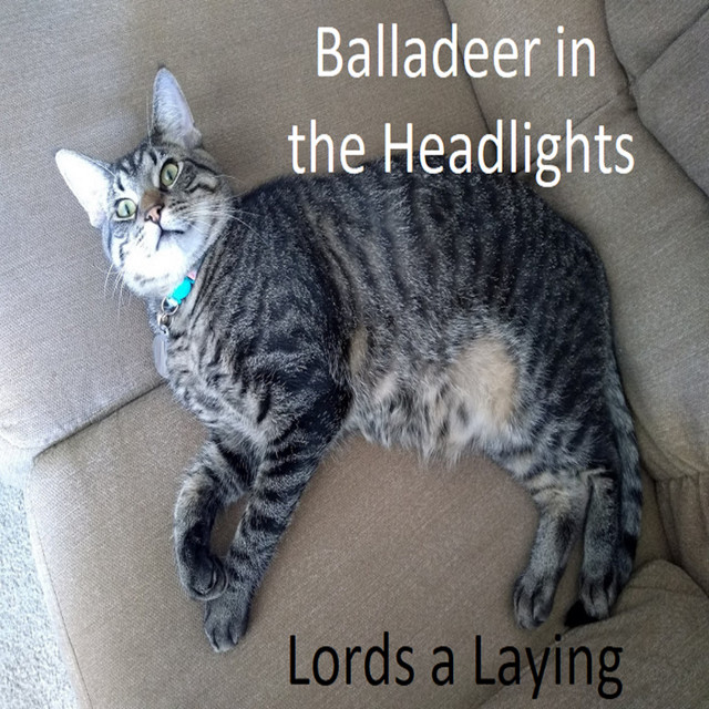Balladeer+in+the+Headlights Balladeer+in+the+Headlights
