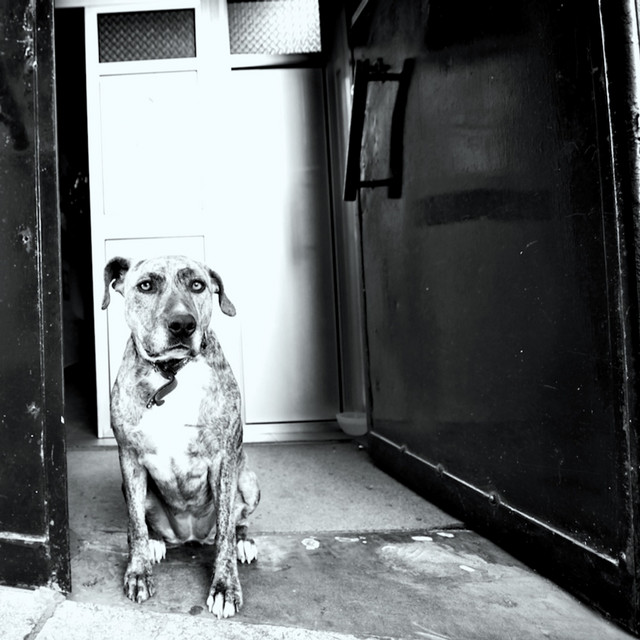 How+Comes+The+Constellations+Shine