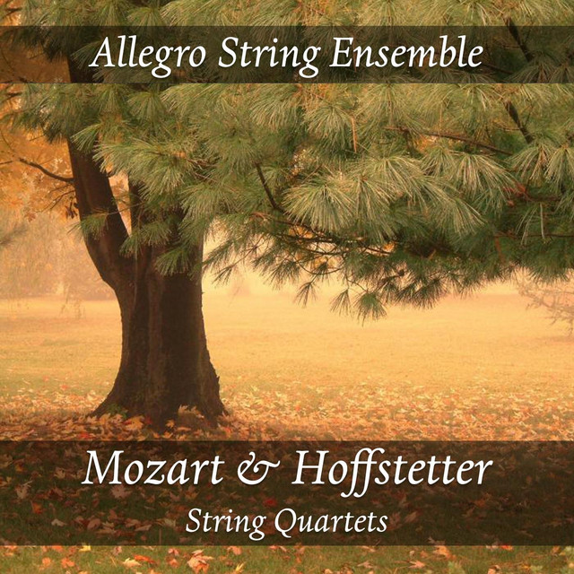 Allegro+String+Ensemble Allegro+String+Ensemble