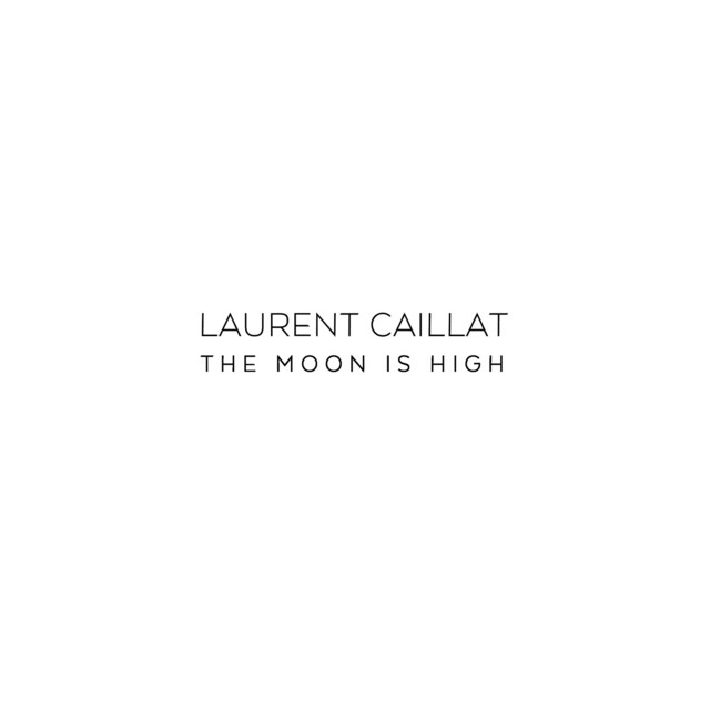 Laurent+Caillat Laurent+Caillat